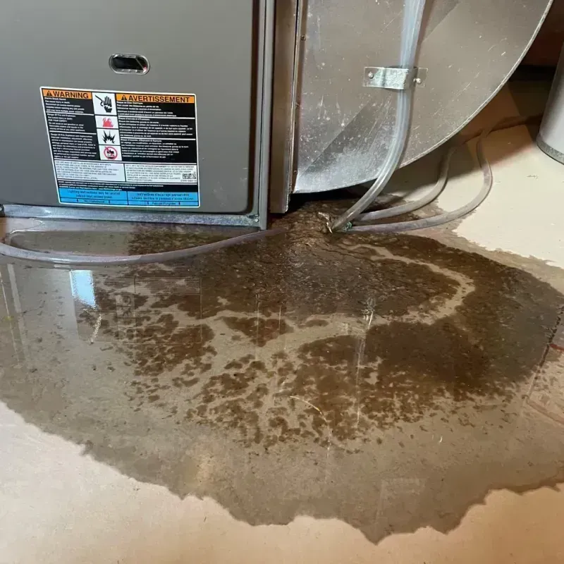 Appliance Leak Cleanup in Westminster, CO